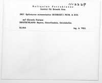 Image Associated With the Occurence